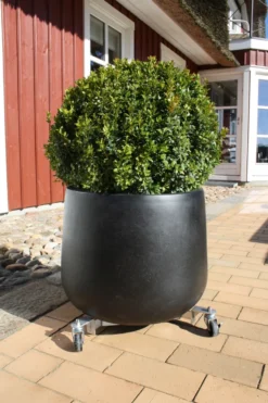 Rullevogn til parasolfod og krukker - Garden®