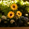 Solcelleblomst Solsikke - Garden®