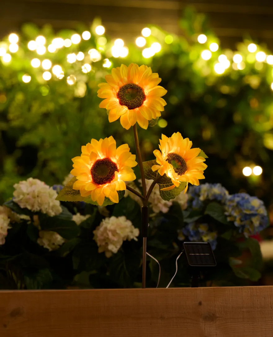 Solcelleblomst Solsikke - Garden®