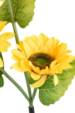 Solcelleblomst Solsikke - Garden®