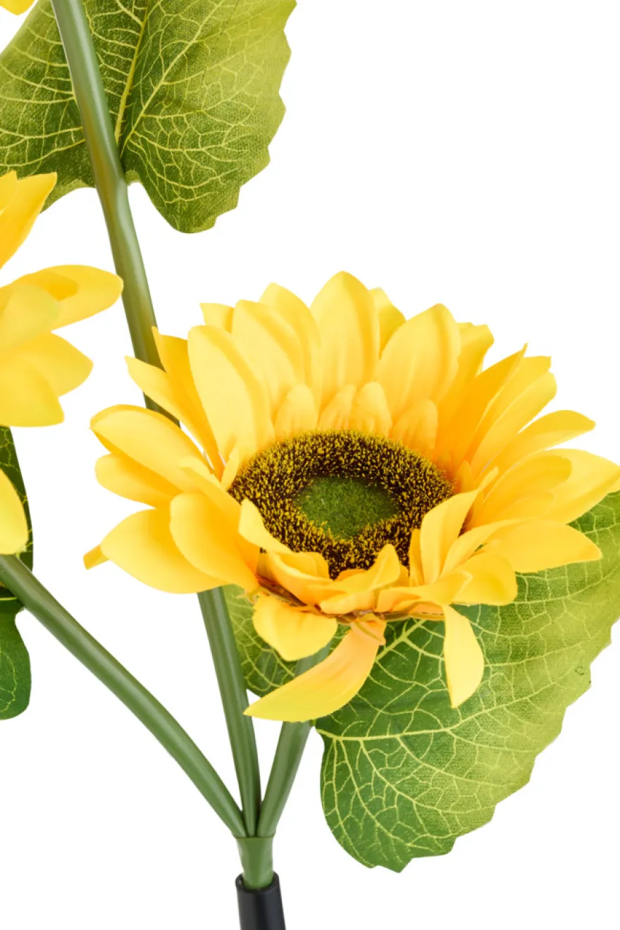 Solcelleblomst Solsikke - Garden®