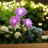 Solcelleblomst Hortensia - Garden®
