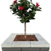 Topplade Nordic Wall koks