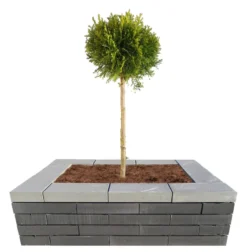 Topplade Nordic Wall koks