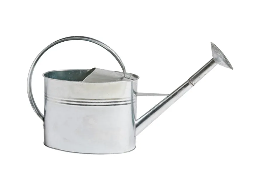 Vandkande 7 liter zink - Garden®